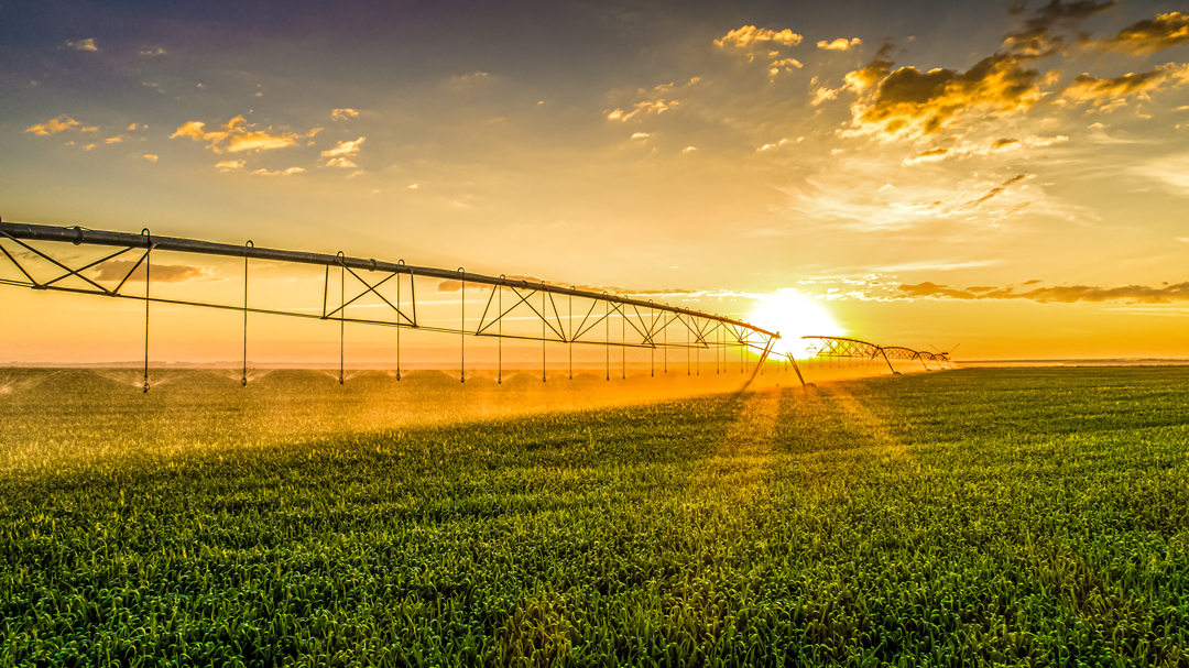 Irrigation_WEB