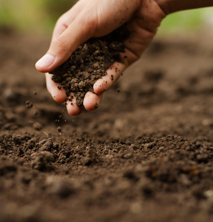 Soil_WEB